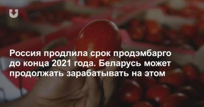 Россия продлила срок продэмбарго до конца 2021 года. Беларусь может продолжать зарабатывать на этом