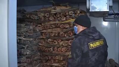 Более 10 т рыбной продукции изъяли из подпольного цеха в Москве