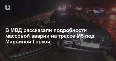В МВД рассказали подробности массовой аварии на трассе М5 под Марьиной Горкой