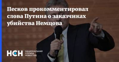 Песков прокомментировал слова Путина о заказчиках убийства Немцова