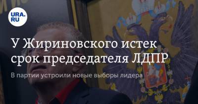 У Жириновского истек срок председателя ЛДПР. В партии устроили новые выборы лидера