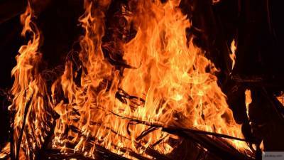 Протестующие украинцы сожгли чучело патриарха Варфоломея
