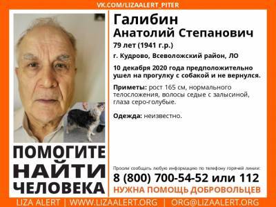 В Кудрово без вести пропал 79-летний мужчина с собакой