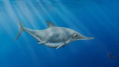 На побережье Англии нашли доисторического «морского дракона»