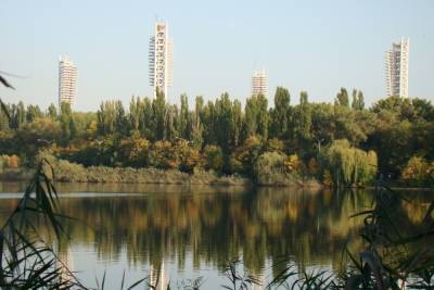 Карасунские озера в Краснодаре назвали прудами и вернули муниципалитету