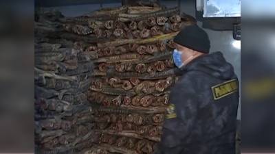 В Москве нашли склад с 10 тоннами краснокнижного осетра