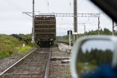 В Карелии поезд сошёл с рельсов из-за железнодорожного башмака