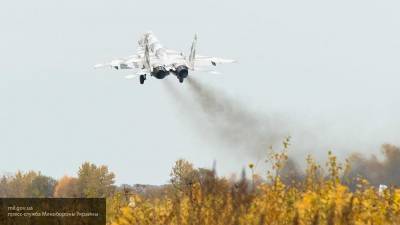Заледеневшие МиГ-29 ВВС Украины рассмешили пользователей Сети