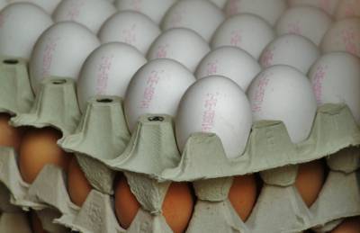 Птицеводы опровергают выявление Латвией сальмонеллы в яйцах из Украины