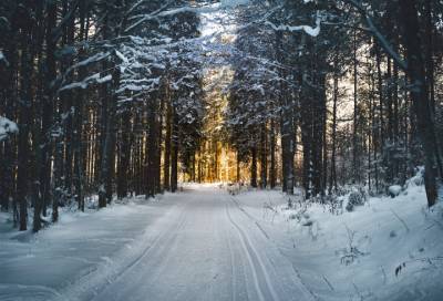 Во вторник 15 декабря в Ленобласти ожидается гололедица и слабый снег