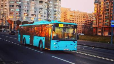 Сотня новых низкопольных автобусов с мощным двигателем выходит на улицы Петербурга