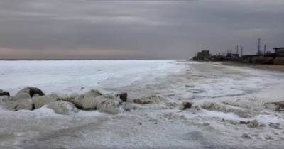 Заcтигшая в зимней красоте стихия: в Бердянске замерзло море (видео)