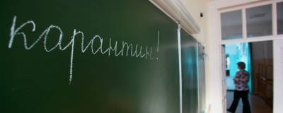 Нижегородский Минобразования проведет проверку после сообщения о 15 заболевших учителях