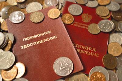 «Единая Россия» подготовила проект об автоматическом информировании о будущей пенсии