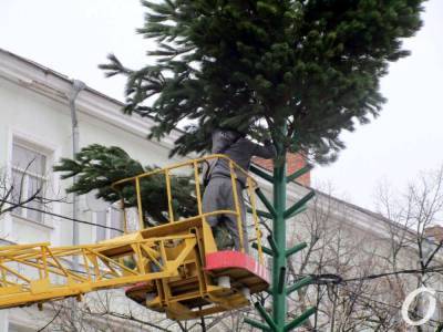 В Одессе на Дерибасовской устанавливают елку, а на Приморском бульваре — ярмарочный городок (фото)
