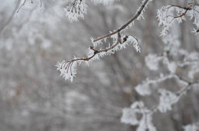 В Ленобласти во вторник ожидается мороз
