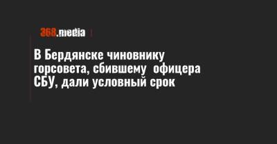 В Бердянске чиновнику горсовета, сбившему офицера СБУ, дали условный срок