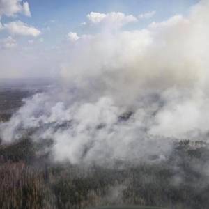 Последствия пожаров в зоне отчуждения оценили в 8 млрд грн