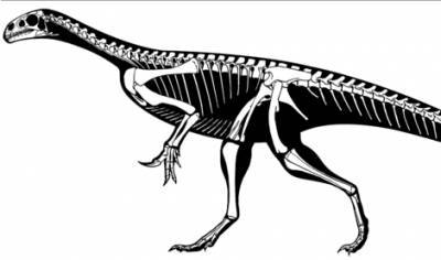 Британские ученые создали цифровую копию мозга бристольского динозавра