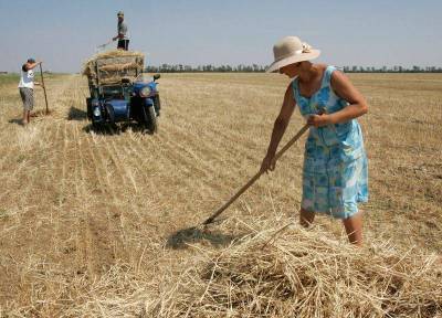 Экспорт украинского зерна снизился на 15,4% в сезоне 20/21 гг