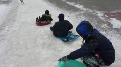 Искусственный снег в воронежском райцентре планируют привезти к детским садам
