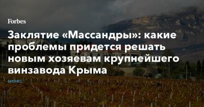 Заклятие «Массандры»: какие проблемы придется решать новым хозяевам крупнейшего винзавода Крыма
