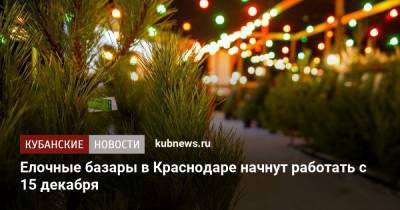 Елочные базары в Краснодаре начнут работать с 15 декабря