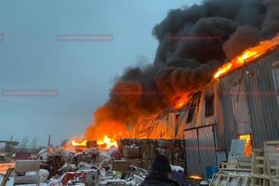 Площадь пожара в подмосковном Одинцове выросла до 1,2 тыс. кв. метров