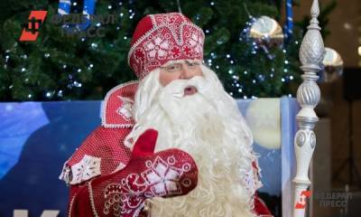 Дед Мороз стал встречаться с детьми онлайн