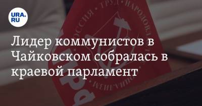 Лидер коммунистов в Чайковском собралась в краевой парламент