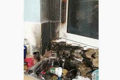 Мать и дочь приняли гранату за рвоту кашалота и устроили взрыв на кухне