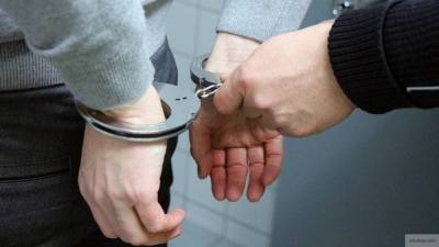 Полицейские задержали вымогавших 150 млн рублей злоумышленников у китаянки в Москве