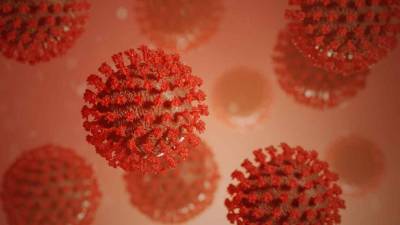 Новую разновидность коронавируса SARS-CoV-2 обнаружили в Британии