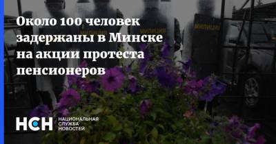 Около 100 человек задержаны в Минске на акции протеста пенсионеров