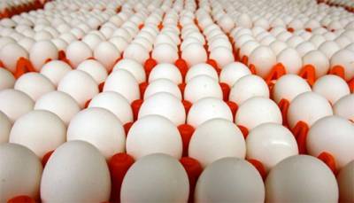 Вся экспортная яичная продукция из Украины проверяется на сальмонеллу - Союз птицеводов