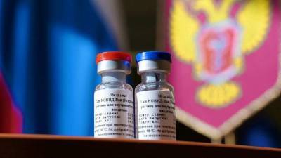 Украинский - Украинский эксперт рассказал, как российская вакцина может... - politnavigator.net - Россия - Украина