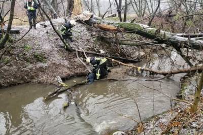 В Киеве нашли тело мужчины в Совских прудах
