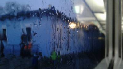Непогода наделала бед в Харькове: ледяной дождь парализовал работу троллейбусов – видео