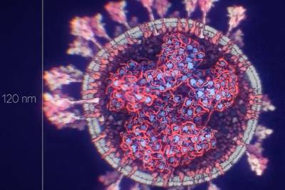 В Британии обнаружили "новый вид" коронавируса