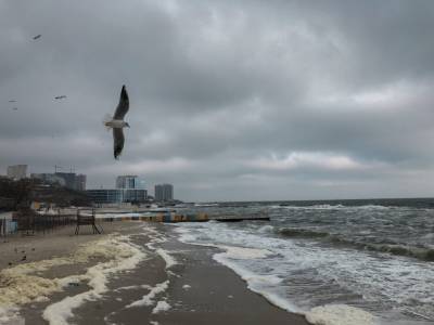 Погода в Одессе 15 декабря: облачно, но без дождя