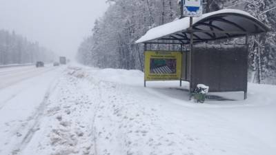 Вильфанд: В центре Европейской России выпадет снежный покров