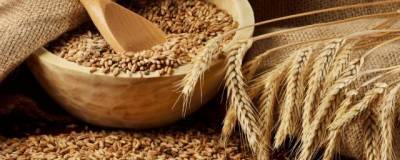 Правительство рассказало о планах по введению квот и пошлин на экспорт зерна