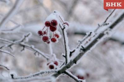 На севере Коми ожидается похолодание