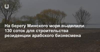 На берегу Минского моря выделили 130 соток для строительства резиденции арабского бизнесмена