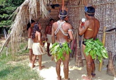 В лесах Амазонии обнаружили загадочные древние деревни