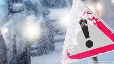 Вильфанд: Камчатку накроют снегопады и сильный ветер в ближайшие дни