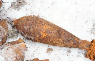 В Заднепровском районе Смоленска нашли 15 снарядов и тротил