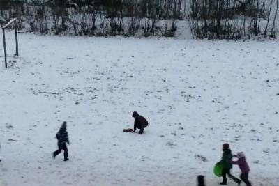 В Твери дети играли и швыряли на лёд мертвое животное
