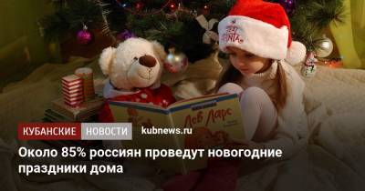 Около 85% россиян проведут новогодние праздники дома