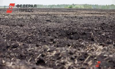 Ученые: Новосибирский оловянный завод сильно загрязняет почву